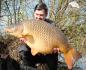 Preview: Fifty Fish Boilies 5 kg